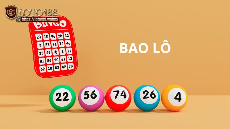 bao-lo-1