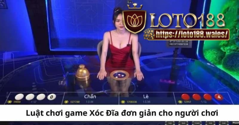 Luật chơi xóc đĩa LOTO188  đơn giản dành cho người chơi mới