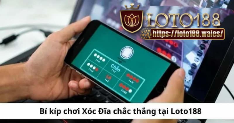 Bí kíp chơi xóc đĩa LOTO188 toàn thắng cùng các cao thủ